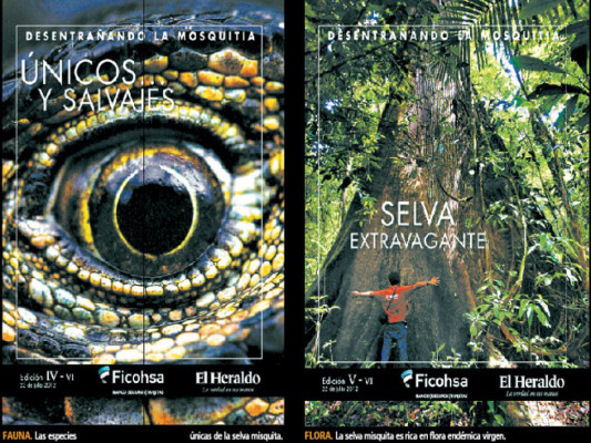 Charlie Sheen no se siente latino a pesar de sus raíces