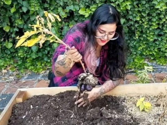 FOTOS: Ellas son las otras nietas de Enrique Guzmán