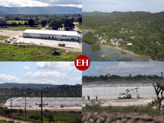 Próspera, Morazán, Orquídea o Agroalpha ¿Qué Zede tomará más territorio de Honduras?