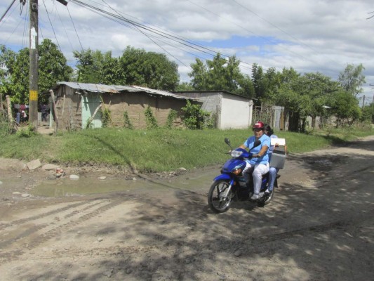 Honduras: Reiniciarán ciclo de intervención contra el mosquito del dengue