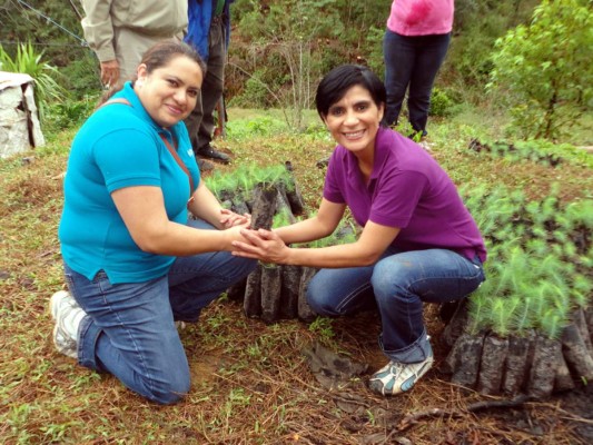 Grupo Opsa al rescate de reserva forestal la Tigra en trabajos de reforestación.