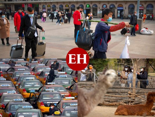 FOTOS: China empieza a retirar restricciones en centro de epidemia 