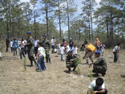 Siguatepeque pierde su entorno natural