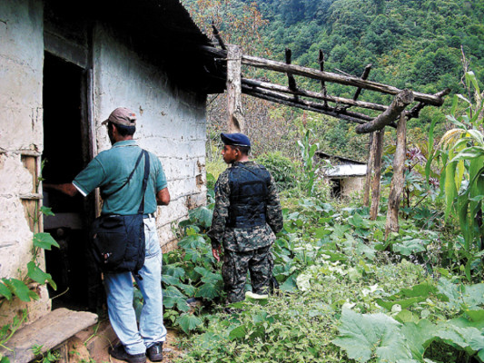 Deforestadas 20 manzanas de Parque Nacional en Comayagua