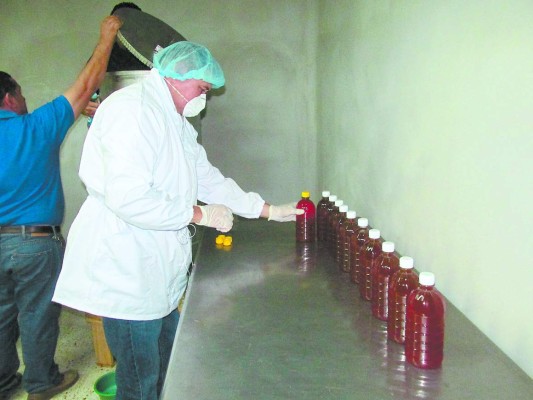 Apicultores tecnifican producción para conquistar mercado extranjero