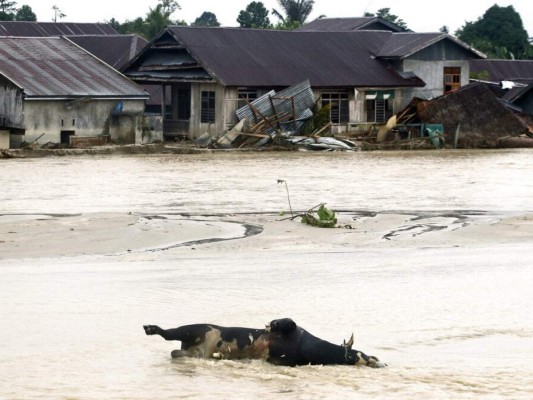 Imágenes de muertes, caos y destrucción por inundaciones en Indonesia