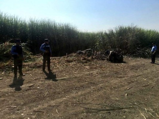 Encuentran supuesta narcoavioneta estrellada en Choloma