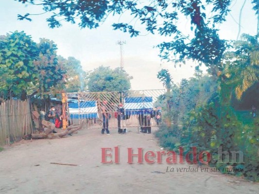 Han invadido unas 10,000 hectáreas productivas en los últimos tres años