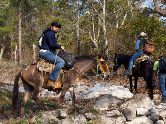 Parte de la belleza natural de Honduras en 12 imágenes