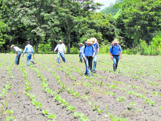 Impulsan la producción agrícola en centros escolares