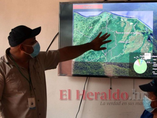 ICF: 'Las normas de uso no permiten la carretera en Gracias a Dios'