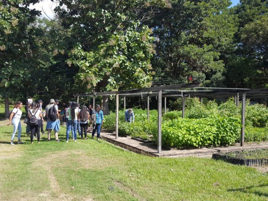 Fértil y muy variada, conozca la ruta agroturística de Comayagua