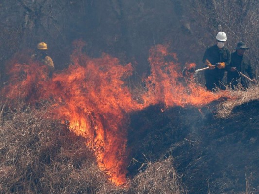 Muere voluntario que combatía incendio en centro de Bolivia&nbsp;&nbsp;