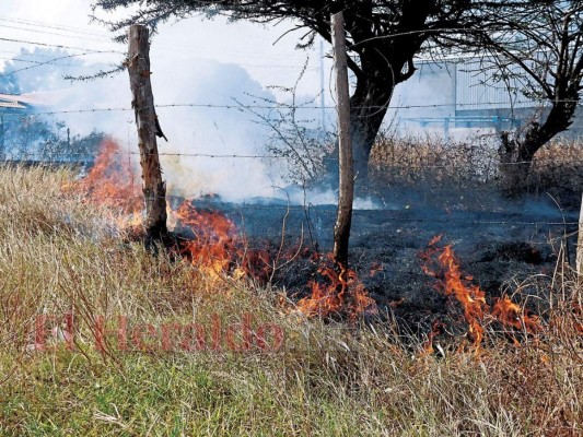 Disminuyen áreas afectadas por los incendios en Choluteca y Valle