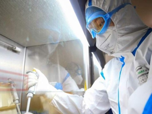 Descubren virus de gripe porcina, propicio para una nueva pandemia
