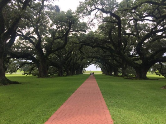 Un viaje por la época de la esclavitud