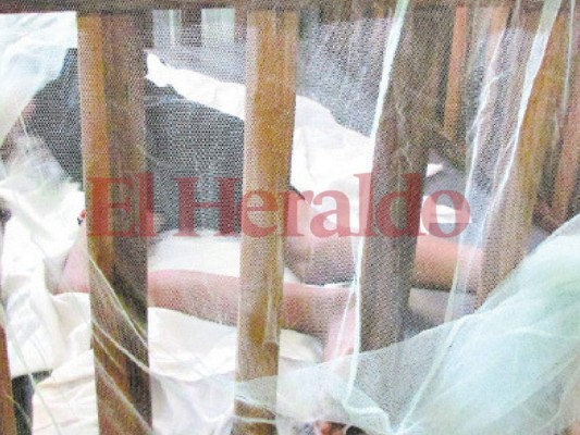 Secretaría de Salud investiga segunda muerte por dengue grave en Honduras