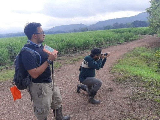 En el municipio de Sabanagrande, los integrantes de este grupo de investigadores toman datos para definir dónde colocar un grabador que les permitirá escuchar los sonidos que emiten los murciélagos. Foto: The Big Bat Theory