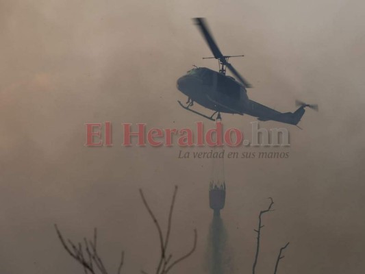 Las infernales imágenes del incendio que consume el bosque de la capital de Honduras