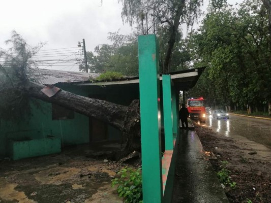 Fuertes lluvias provocan inundaciones y daños en Honduras (FOTOS)