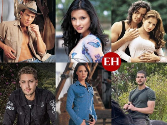 ¿Quién sigue, quién no y quiénes son los nuevos en Pasión de Gavilanes 2?