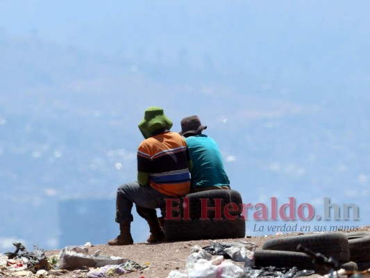 FOTOS: Así es un día de trabajo de los pepenadores en el crematorio de la capital de Honduras