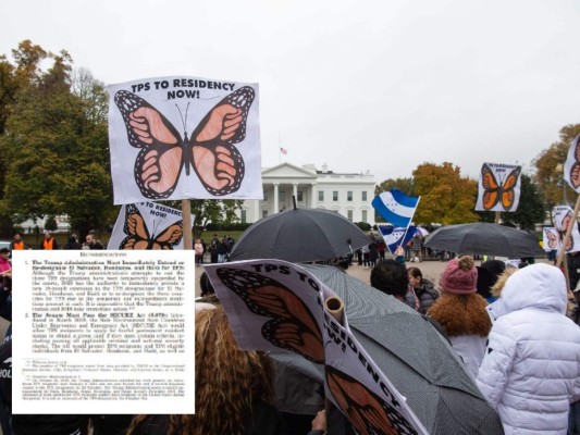 CRE del Senado recomendó legalizar a los tepesianos