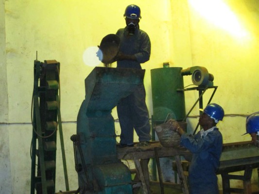 Guanomad: The Agro-ecological adventures of the Madagascan Batman