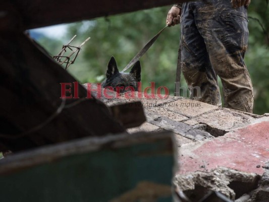 Secuelas de Eta, protestas en Sudamérica y un covid que no da tregua, las fotos de la semana en América Latina