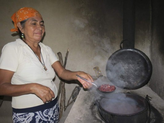 Sequía deja sin alimentos a 1,600 familias del sur de Guajiquiro