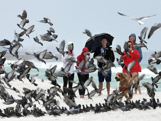 Tormenta tropical Néstor se acerca al noreste de Florida&nbsp;