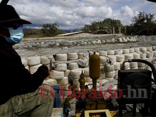 Sin riego más de 800 productores de Jamastrán, El Paraíso