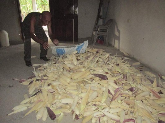 Declaran emergencia por sequía en siete municipios de Choluteca