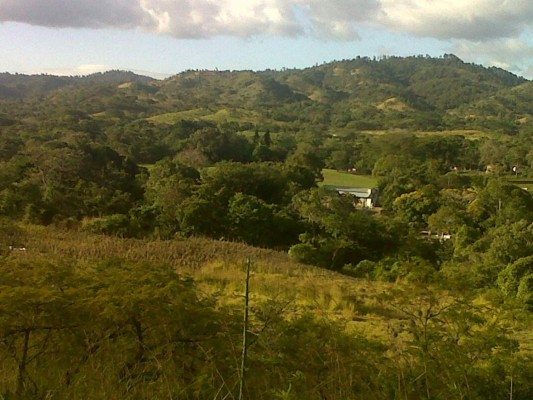 Las Fotos de los Lectores