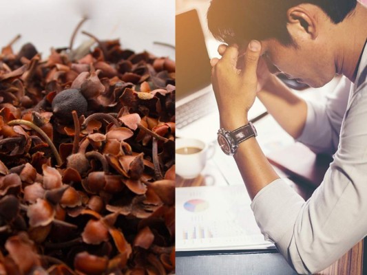 ¿Estrés y ansiedad en la oficina? el té de tilo es la solución