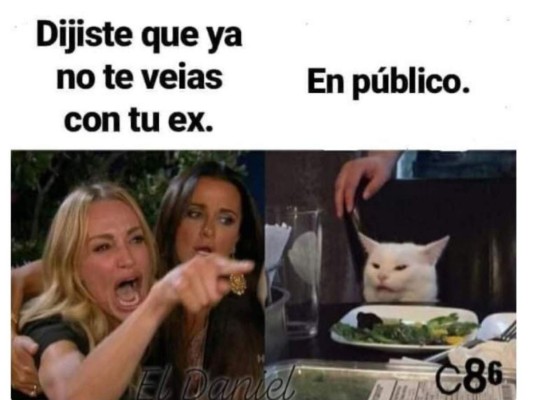 Los memes más graciosos del gato en la mesa y la mujer gritando