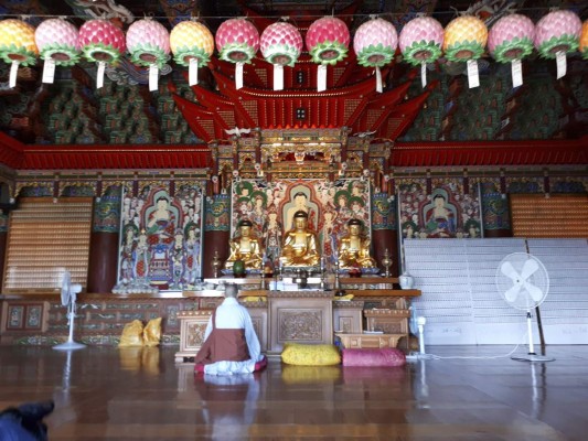 Corea del Sur, un retrato de la Gloria