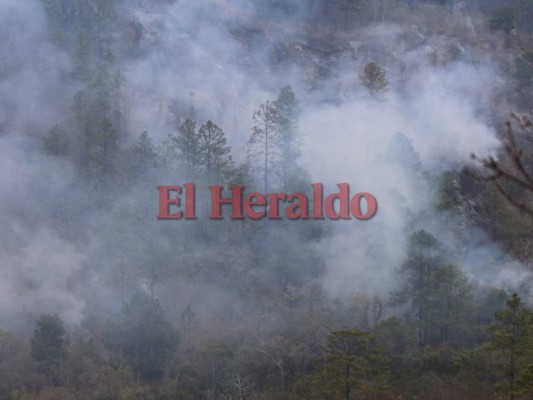 Incendio amenaza bosques de aldea El Carpintero&nbsp;