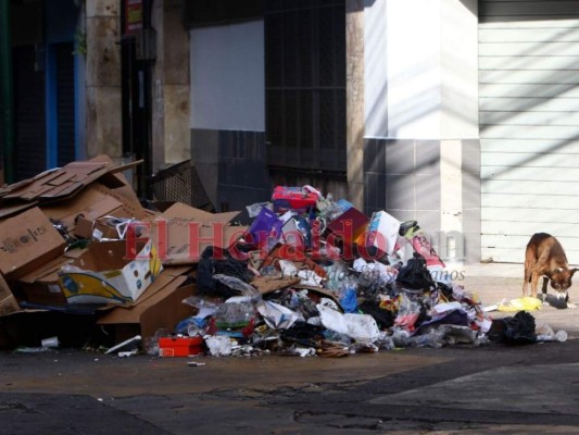 Montañas de basura amanecieron en la capital tras celebración de Año Nuevo (FOTOS)