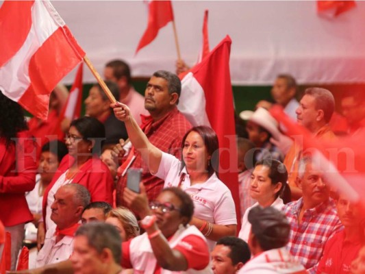 Presidente del Partido Liberal Luis Zelaya acepta unirse a la Alianza Opositora pero si él es nombrado candidato