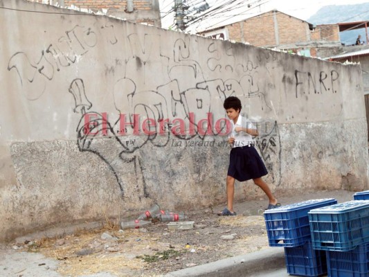 Palabreros, mulas y banderas: la jerarquía de la temible Mara Salvatrucha (FOTOS)