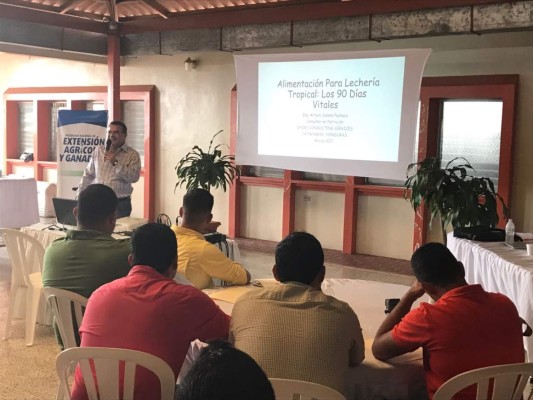 Capacitan a productores del sector ganadero de Olancho en el rubro de la leche y carne