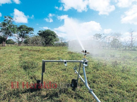 Severos racionamientos de agua sufren habitantes de Comayagua