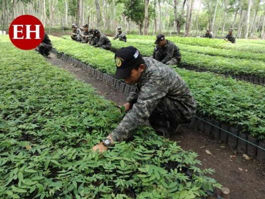 Las 10 mejores fotos de la semana en Honduras