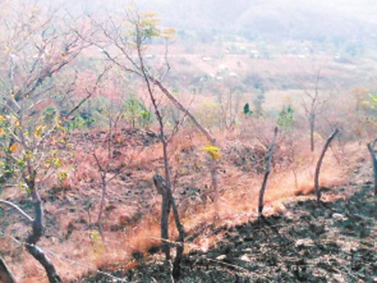 Honduras: Sequía afecta 106 ríos y quebradas