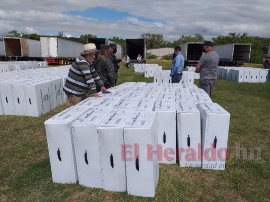 A tres días de comicios generales, así avanza distribución de maletas electorales al interior del país (FOTOS)