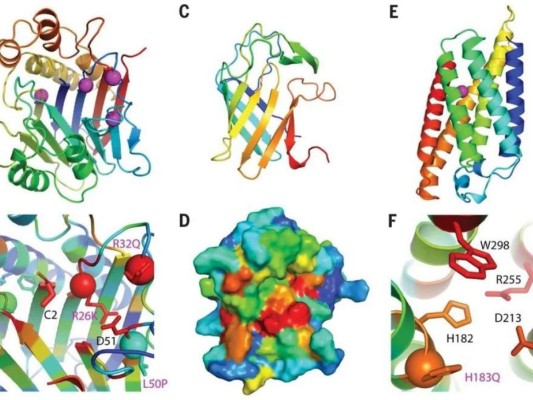 Los principales acontecimientos científicos que marcaron 2021 (Fotos)