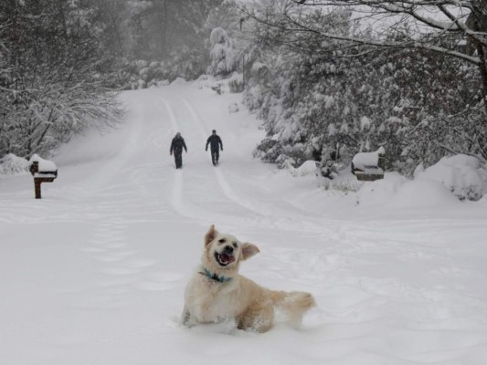 Tormenta azota el sureste de Estados Unidos; cancelan vuelos&nbsp;&nbsp;