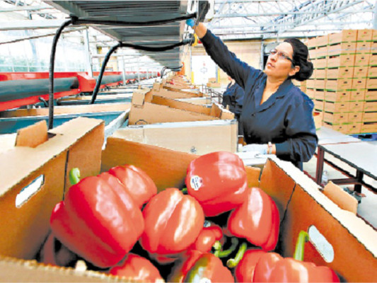 Las mujeres también se abren paso en el exterior