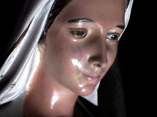 ¡La Virgen María Reina de la Paz vuelve a llorar!